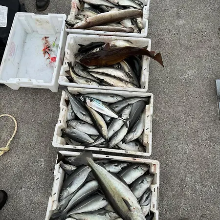 Cozy Oceanfront Escape