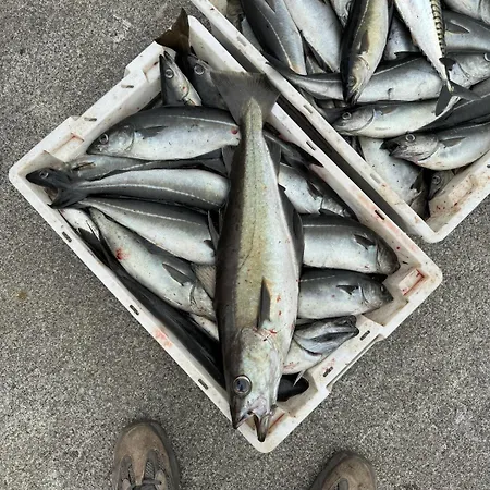 Cozy Oceanfront Escape *